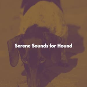 Serene Sounds for Hound - Singapore Restaurant Jazz