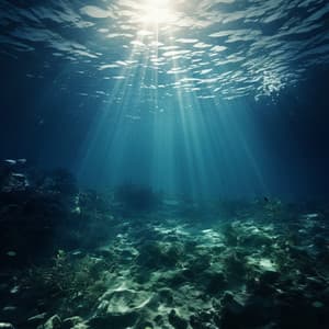 Armonías Estudiosas: Música De Las Olas Océanicas Para El Estudio - Desastres naturales