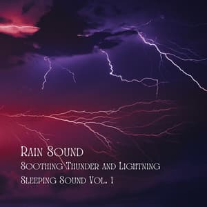 Rain Sound: Soothing Thunder and Lightning Sleeping Sound Vol. 1 - Sleeping Music For Dogs