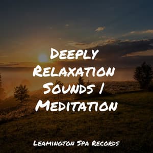 Deeply Relaxation Sounds | Meditation - Deep Sleep Music Delta Binaural 432 Hz