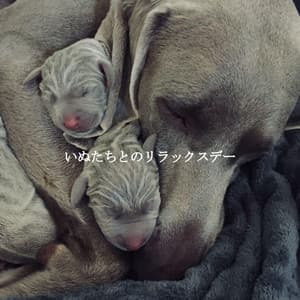 いぬたちとのリラックスデー - Japan Cafe BGM