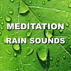 Meditation Rain Sounds - Wind and Rain Sounds
