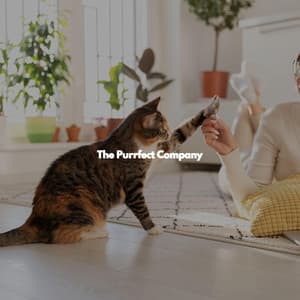 The Purrfect Company - Music for Cooking Playlist