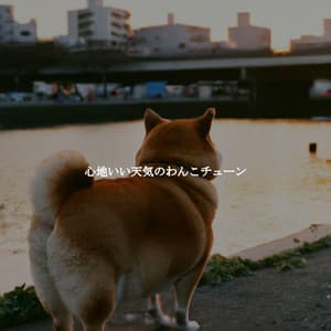 心地いい天気のわんこチューン - Jazz Cafe Bar Girls