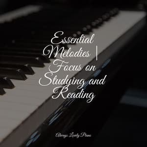 Best Comforting Sounds | Relaxation - Bar Lounge