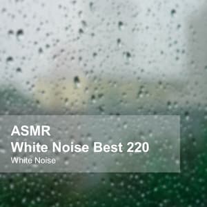 White Noise ASMR Best 220 - White Noise