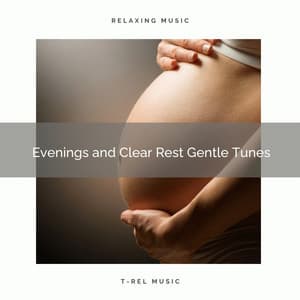 ! ! Evenings and Clear Rest Gentle Tunes - Womb Sound
