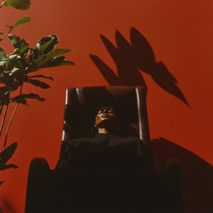 Regnmästarens Rådgivning: Konstfulla Knep från Regnvattens Källa - Relaxing Music For You