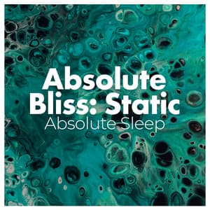 Absolute Bliss: Static - Absolute Sleep