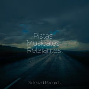 Pistas Musicales Relajantes - Musica para Meditar Especialistas