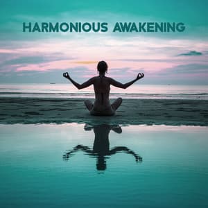 Harmonious Awakening: Meditation, Music, and Mindfulness for a New Day - Relaxation & Meditation Academy