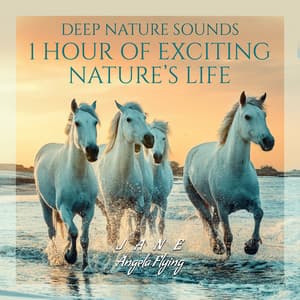 Deep Nature Sounds: 1 Hour of Exciting Nature’s Life, My Nighttime, Ambient Harmony Sounds, Beautiful Dreamer Time, Gentle Sleep Nature - Jane - Angela Flying