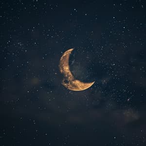 Música De Sueño Tranquilizadora: Ecos Suaves - Sueño Real