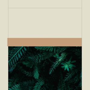 Music for Jet Lag - Cafeteria Musica de lujo