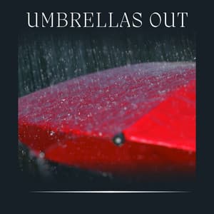 Umbrellas Out - Recording Nature