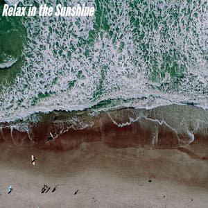 Relax in the Sunshine - Beach Jazz Playlist