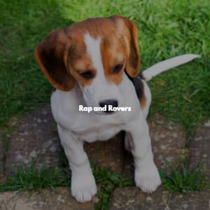 Rap and Rovers - Jazz Lounge Bar Radio