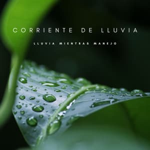 Corriente De Lluvia: Lluvia Mientras Manejo - Lluvia PQ