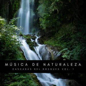 Música De Naturaleza: Cascadas Del Bosques Vol. 1 - Academia de Música para Reducir el Estrés