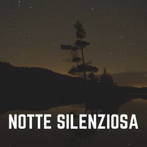 Notte Silenziosa - Rumore Bianco