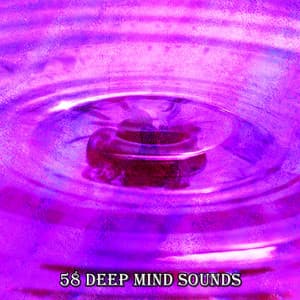 58 Deep Mind Sounds - Zen Meditation