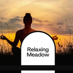 Relaxing Meadow - Lullabies for Deep Meditation