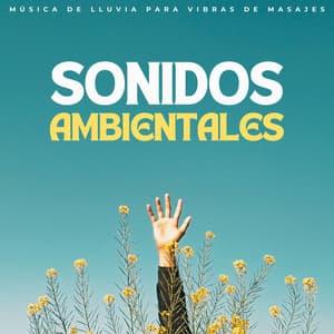 Sonidos Ambientales: Música De Lluvia Para Vibras De Masajes - Reiki Consorte de Curación