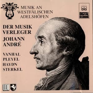 Musik an westfälischen Adelshöfen, Vol. 1 - Wolfgang Brunner