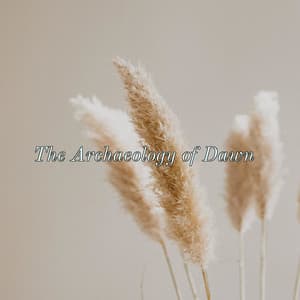 The Archaeology of Dawn - Oceara