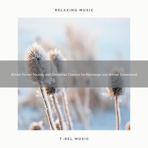 Winter Forest Sounds and Christmas Classics for Recharge and Winter Dreamland - Sleep Sounds of Nature
