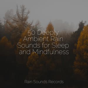 50 Deeply Ambient Rain Sounds for Sleep and Mindfulness - Nature Sounds Nature Music