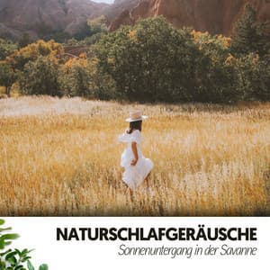 Naturschlafgeräusche: Sonnenuntergang in der Savanne - Relajacion
