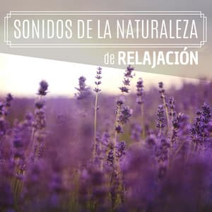 Sonidos de la Naturaleza de Relajación - Selección de la Mejor Música Relax y Meditación 2019 Ruido Mar, Lluvia y Pájaros - Tranquilidad Eterna
