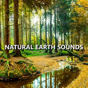 Natural Earth Sounds - Earth Sounds