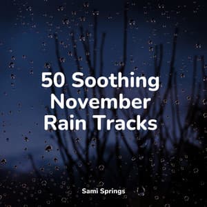 50 Soothing November Rain Tracks - Lluvia PQ
