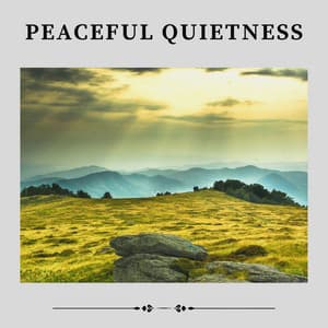 Peaceful Quietness - Musica Relax Academia