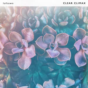 Clear Climax - loftown