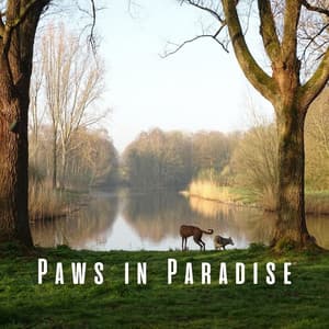 Paws in Paradise: Binaural Nature Music for Blissful Dogs - Green 5