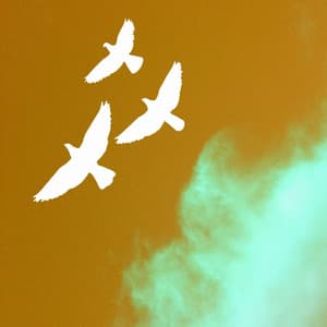 Acoustic and Electric Bossa Piano Duo - Music for Calm Tastes - Sunday Jazz Classics