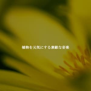 植物を元気にする素敵な音楽 - Alternative Lounge Jazz Premiere