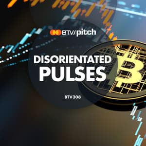 Disorientated Pulses - Mark Anderson