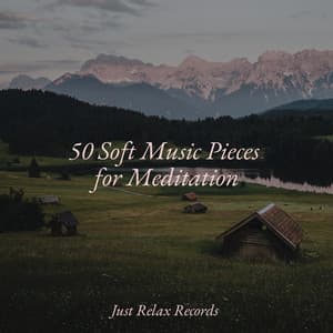 50 Soft Music Pieces for Meditation - Chillout Lounge