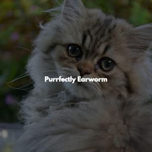 Purrfectly Earworm - Chill Jazz Playlist