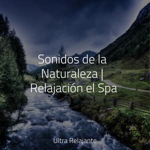 Sonidos de la Naturaleza | Relajación el Spa - Relajantes sonidos de lluvia