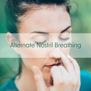 Alternate Nostril Breathing: Nadi Shodhana Pranayama Breathing Practice for Relaxation - Oasis of Relaxation and Meditation