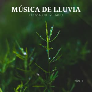 Música De Lluvia: Lluvias De Verano Vol. 1 - Sonidos De Lluvia y Tormentas