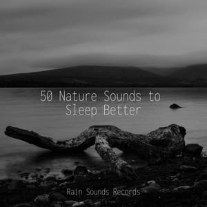 50 Nature Sounds to Sleep Better - Calm Music for Studying