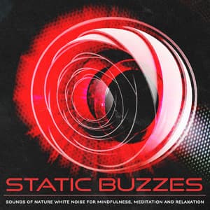 Static Buzzes - Sounds of Nature White Noise for Mindfulness, Meditation and Relaxation