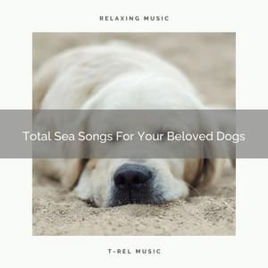 Total Sea Songs For Your Beloved Dogs - Dog Total Relax