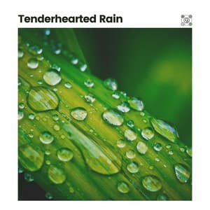 Tenderhearted Rain - Rain FX